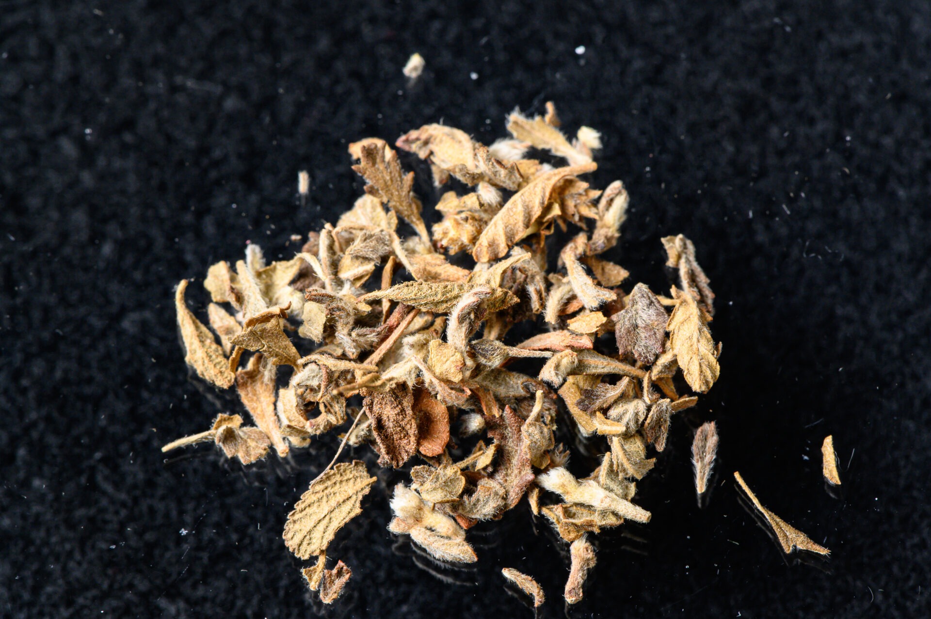 Latest synthetic cannabinoid compounds